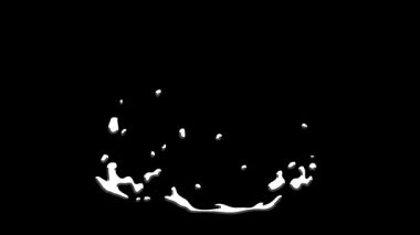 Hareket Grafikleri ve Görsel Efektler için Animasyon Su Sıçrama Efektleri Koleksiyonu, Siyah ve Beyaz Biçim