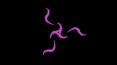 Görsel Efektler ve Hareket Grafikleri İçin Animasyon Mor Enerji Girdabı Efekti