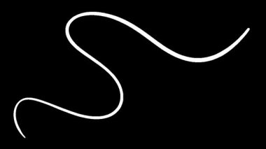 Yaratıcı Projeler için Siyah Arkaplan üzerindeki Beyaz Eğri Çizgilerin Soyut Canlandırması