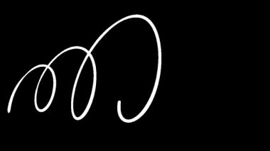 Bir Baharın Evrimi: Zamanda Büyümenin ve Karmaşıklığın Görsel Temsili