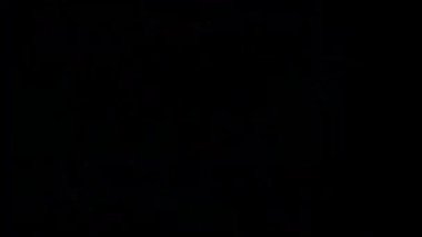 Renkli ışık ışınlarının merkezi bir noktadan yayılarak dinamik bir etki oluşturduğu canlı ve soyut bir görüntü..