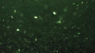 Ilık bir arkaplanda renkli, parıldayan parçacıkların yer aldığı canlı ve soyut bir görüntü..