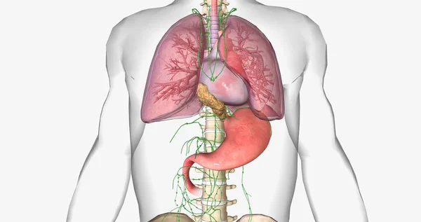 scienceanm