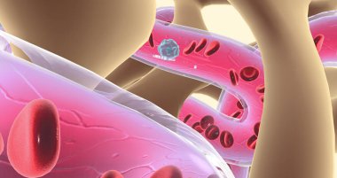 Spongy or cancellous bone gets its name from its sponge-like appearance. 3D rendering