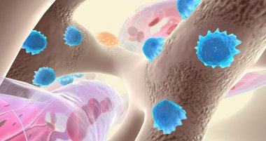 Specialized cells called osteoblasts deposit bone tissue 3D rendering