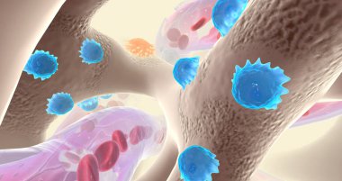 Specialized cells called osteoblasts deposit bone tissue 3D rendering