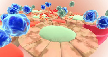 The Autoimmune Attack on Thyroid Cells 3D rendering