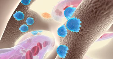 Specialized cells called osteoblasts deposit bone tissue 3D rendering