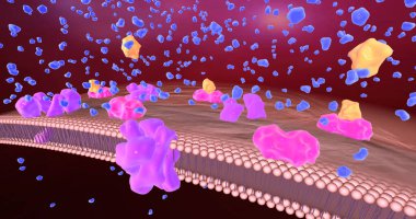 Patients with diabetes have significantly reduced insulin production leading to hyperglycemia. 3D rendering