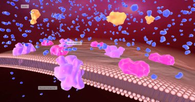 Patients with diabetes have significantly reduced insulin production leading to hyperglycemia. 3D rendering