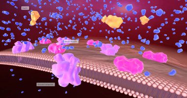 Patients with diabetes have significantly reduced insulin production leading to hyperglycemia. 3D rendering