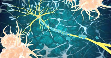 Remyelination is the phenomenon by which new myelin sheaths are generated around axons in the adult central nervous system 3D rendering