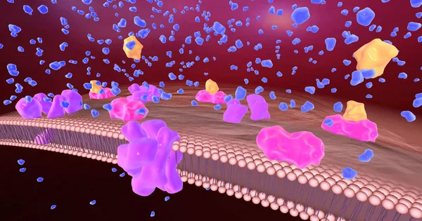 Patients with diabetes have significantly reduced insulin production leading to hyperglycemia. 3D rendering