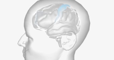 The Attention Deficit Hyperactivity Disorder 3D rendering