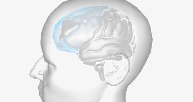 The Attention Deficit Hyperactivity Disorder 3D rendering