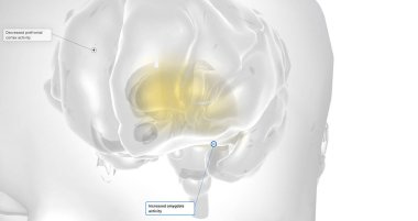Anxiety is a neurological condition characterized by persistent, uncontrollable worry accompanied by emotional distress. 3D rendering