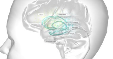 Dopamine is a neurotransmitter that plays a role in regulating Human behavior, mood, motivation, and motor control. 3D rendering
