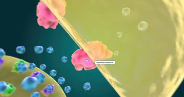 Role of Dopamine in Bipolar Depression 3D rendering