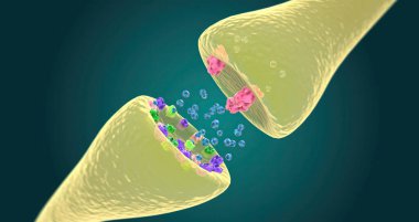Role of Dopamine in Bipolar Depression 3D rendering