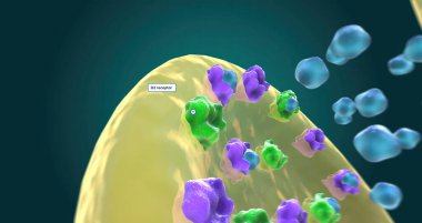Role of Dopamine in Bipolar Depression 3D rendering