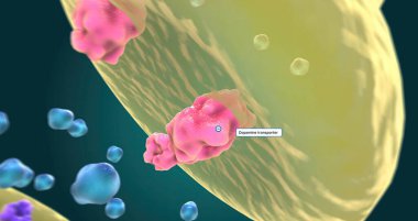 Role of Dopamine in Bipolar Depression 3D rendering