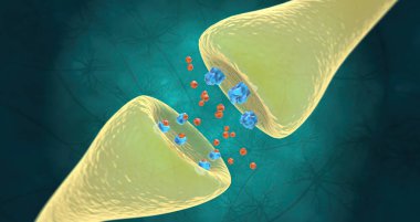 Healthy neurotransmitter levels and receptor binding 3D rendering