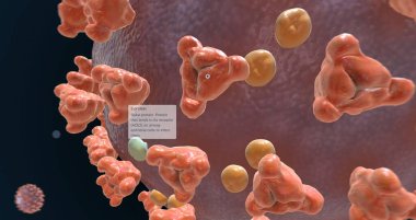 The SARS CoV-2 S Protein 3D rendering