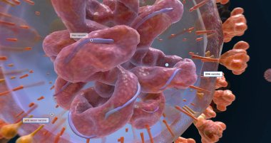 The COVID-19 Vaccine Development Approach 3D rendering