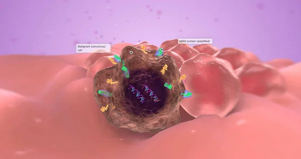 stock image The abnormal gene is known as an oncogene because it causes tumor growth. 3D rendering