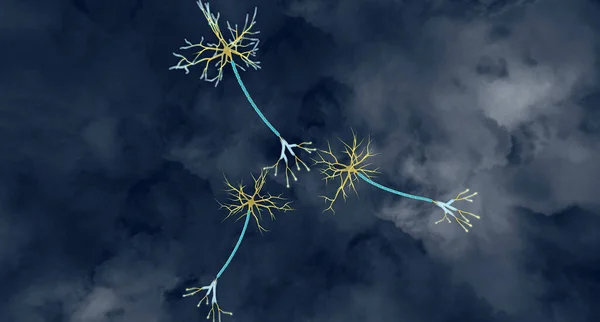 Epileptik Nöbet Aktivitesi Nöron 3D oluşturma