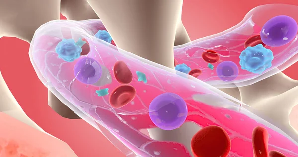 At the cellular level, stem cells in the blood cannot fully transform into mature blood cells. 3D rendering