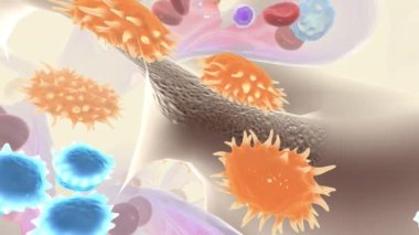 Osteoclastlerin aşırı aktiviteleri osteoporoz, periprotez osteoliz, kemik tümörleri ve Paget hastalığı gibi birçok hastalığa neden olur..