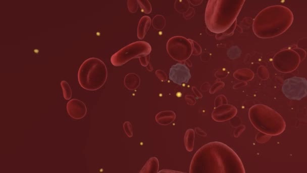 Hiperkalsemia Adalah Kondisi Mana Tingkat Kalsium Dalam Darah Anda Berada — Stok Video