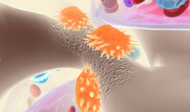 Osteoporoz gibi bazı metabolik hastalıklarda, artan osteoclast aktivitesi kemik emilimine neden olur. 3B Hazırlama