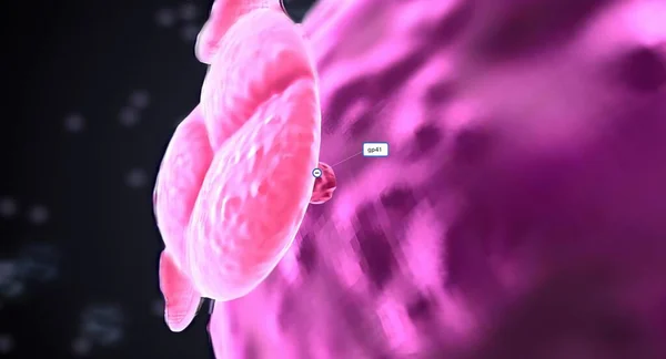 Специализированные Белки Называемые Гликопротеинами Покрывают Вирусную Мембрану Рендеринг — стоковое фото