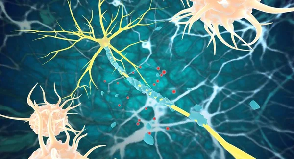 CBD a endokanabinoidní systém