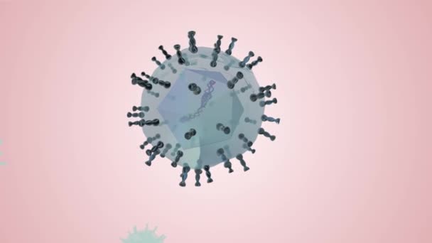 Solunum Epitelyumu Nda Varicella Zoster Virüsü — Stok video