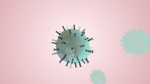 Varicella Zoster Virus Respiratory Epithelium — 비디오
