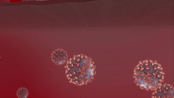 Solunum Virüsleri Solunum Yolu Epitel Hücreleri Arasındaki Etkileşim Üretime Neden — Stok video