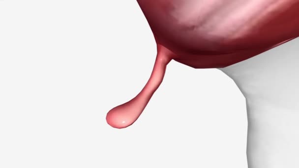 阑尾是一种小的管状结构 连接在大肠的第一部分 也称为结肠 — 图库视频影像