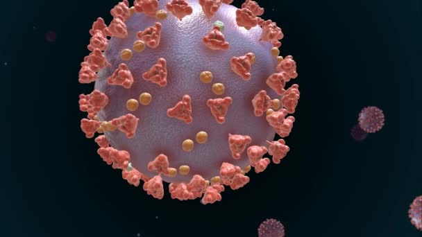 Virale Infecties Zijn Ziekten Die Krijgt Van Kleine Organismen Die — Stockvideo