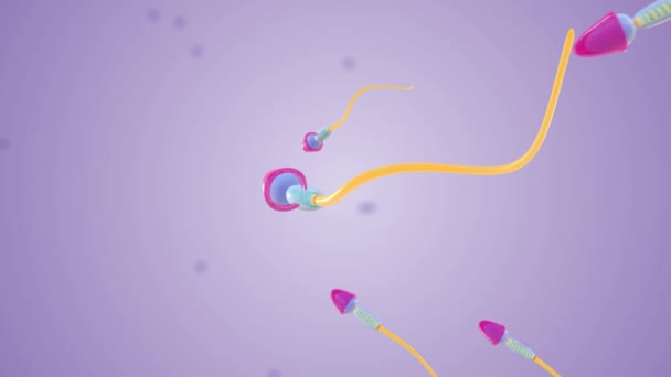 Spermiumok Olyan Férfi Reproduktív Sejtek Amelyek Herékből Származnak — Stock videók