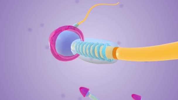 Sperm Cell Midsection Medical — Stock Video