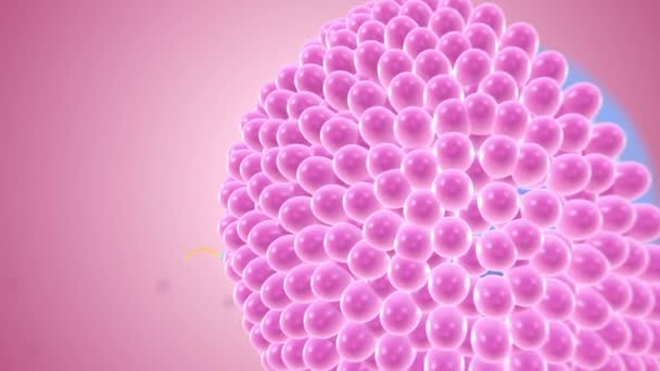 卵細胞コロナ放射性物質 — ストック動画