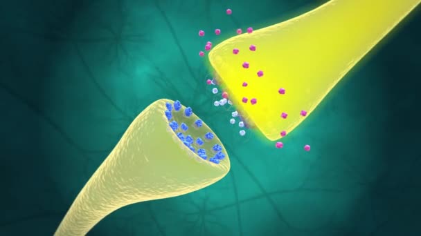 Biochimie Pharmacologie Les Récepteurs Sont Des Structures Chimiques Composées Protéines — Video
