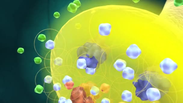 Biochemii Farmakologii Jsou Receptory Chemické Struktury Složené Bílkovin Které Přijímají — Stock video
