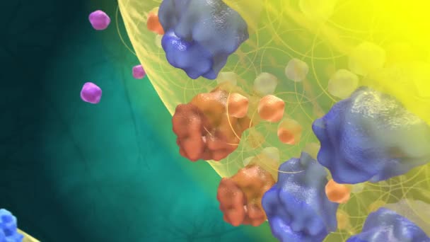 Biyokimya Farmakolojide Reseptörler Proteinden Oluşan Kimyasal Yapılardır Sinyalleri Alıp Onlara — Stok video