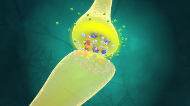 Biyokimya Farmakolojide Reseptörler Proteinden Oluşan Kimyasal Yapılardır Sinyalleri Alıp Onlara — Stok video