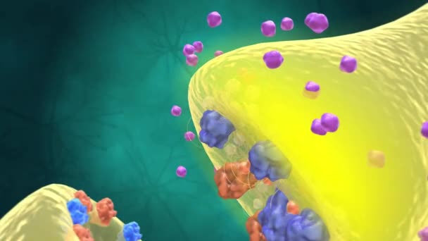 Biochemii Farmakologii Receptory Strukturami Chemicznymi Składającymi Się Białka Które Odbierają — Wideo stockowe