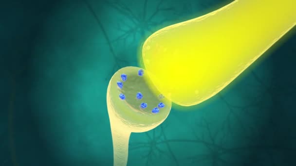 Once Neurotransmitter Has Attached Receptors Second Neuron — Stock Video